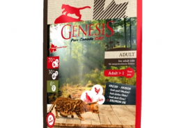 Genesis