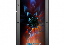 Lunatik