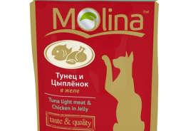 Molina