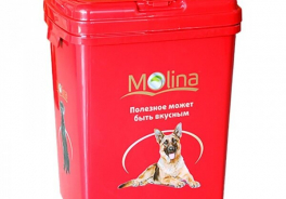 Molina