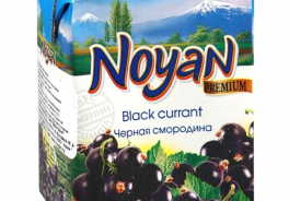 Noyan