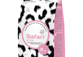 Safari