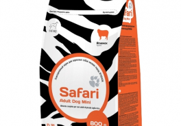 Safari