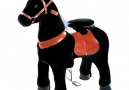 Ponycycle
