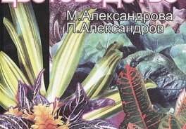 Лабиринт