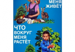 Методики Н.Зайцева