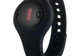 Fitbug