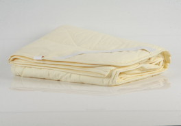 Троицкая камвольная фабрика