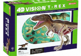 4D Master