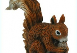 Collecta