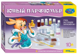 Step puzzle