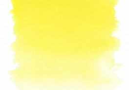 Невская палитра