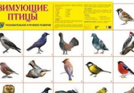 Творческий Центр СФЕРА