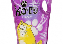 Котэ
