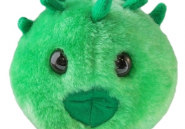 Giant Microbes