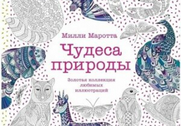 Колибри
