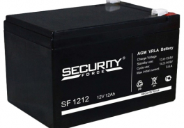 Security Force