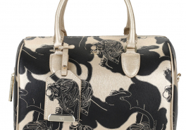 Cavalli Class