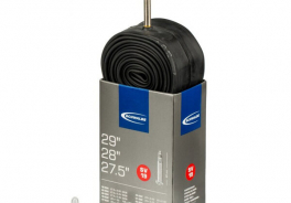 Schwalbe