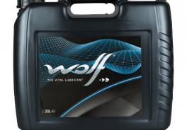 Wolf