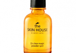 The Skin House