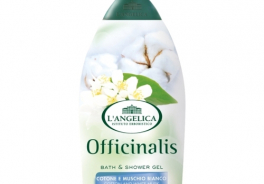 L'Angelica