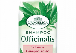 L'Angelica
