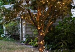 Beauty Led
