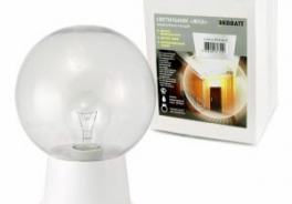 Ecowatt