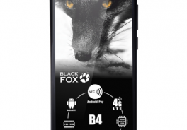 Black Fox