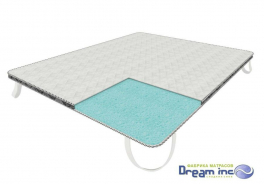 DreamInc
