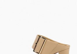 Vaneli