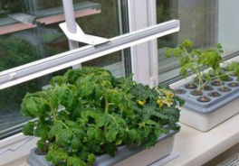 Здоровья КЛАД