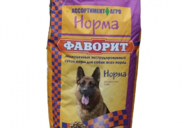 Фаворит