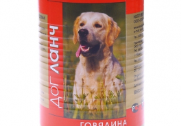 Dog Lunch