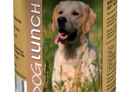 Dog Lunch