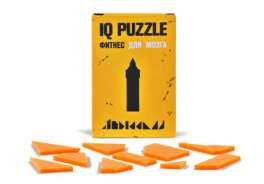 IQ Geek