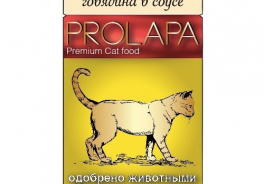 Prolapa