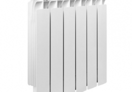 BiPLUS