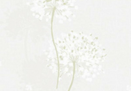 Shinhan
