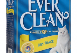Ever Clean