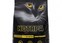 Котяра