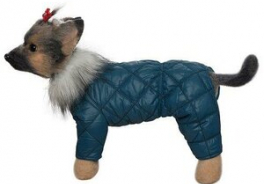 DogModa