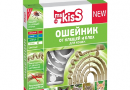 Ms.Kiss