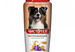 ЧИСТОТЕЛ