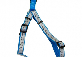 Coastal Pet Products