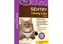 SENTRY