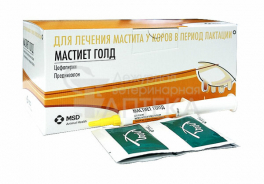 Интервет