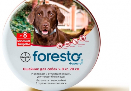 Форесто (Bayer)