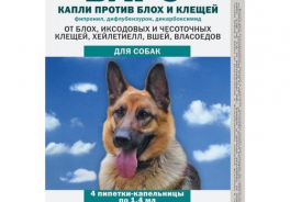 Барс (АВЗ)